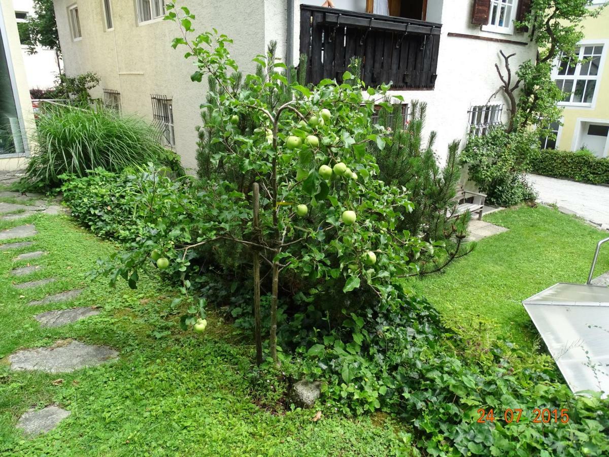 Gartenapartment 젤암제 외부 사진